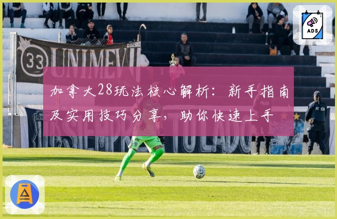 加拿大28玩法核心解析：新手指南及实用技巧分享，助你快速上手