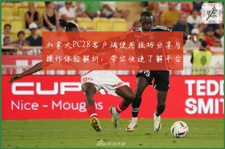 加拿大PC28客户端使用技巧分享与操作体验解析，带你快速了解平台核心功能与应用场景