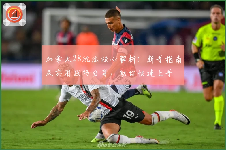 加拿大28玩法核心解析:新手指南及实用技巧分享,助你快速上手