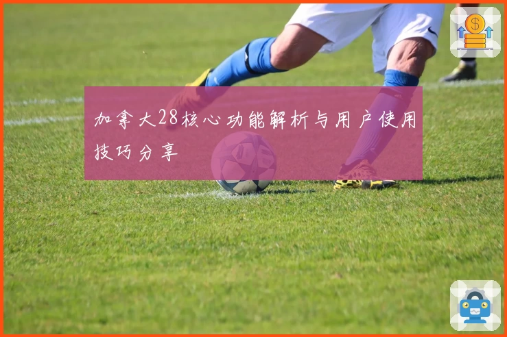 加拿大28核心功能解析与用户使用技巧分享