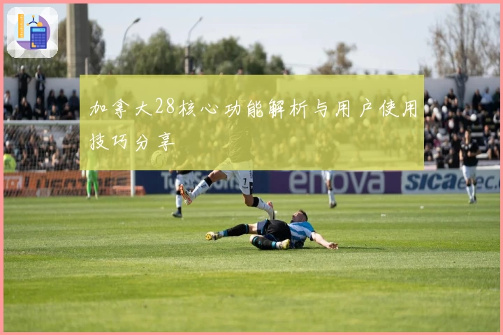 加拿大28核心功能解析与用户使用技巧分享