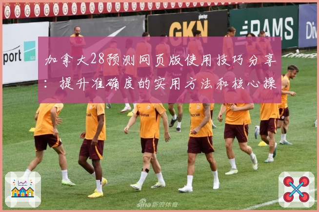 加拿大28预测网页版使用技巧分享：提升准确度的实用方法和核心操作解析