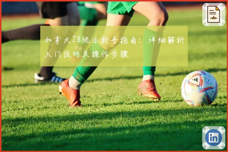 加拿大28玩法新手指南：详细解析入门技巧及操作步骤