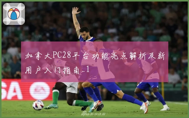 加拿大PC28平台功能亮点解析及新用户入门指南_1