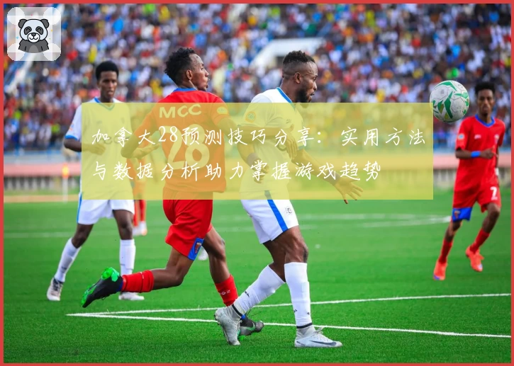 加拿大28预测技巧分享：实用方法与数据分析助力掌握游戏趋势