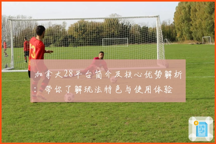 加拿大28平台简介及核心优势解析：带你了解玩法特色与使用体验
