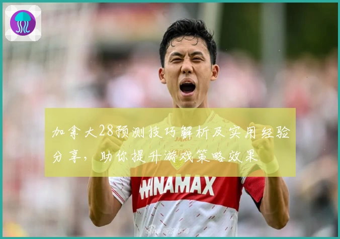 加拿大28预测技巧解析及实用经验分享，助你提升游戏策略效果