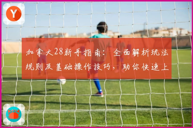 加拿大28新手指南:全面解析玩法规则及基础操作技巧,助你快速上手轻松体验