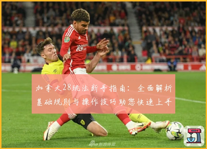 加拿大28玩法新手指南：全面解析基础规则与操作技巧助您快速上手