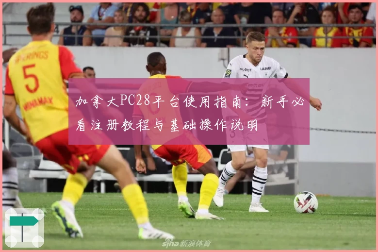 加拿大PC28平台使用指南：新手必看注册教程与基础操作说明