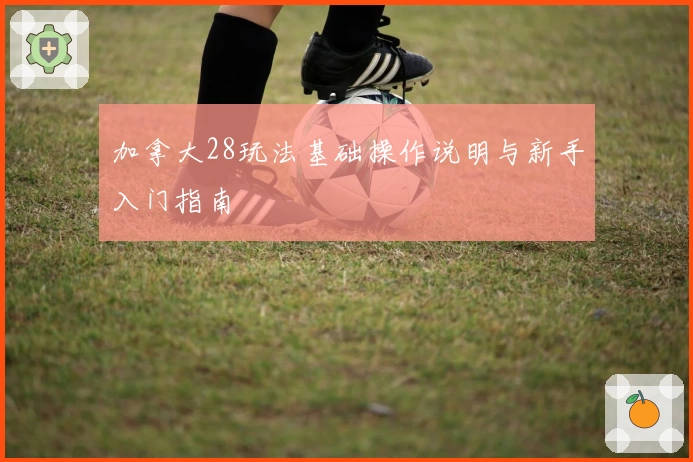 加拿大28玩法基础操作说明与新手入门指南