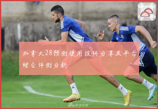 加拿大28预测使用技巧分享及平台综合评测分析